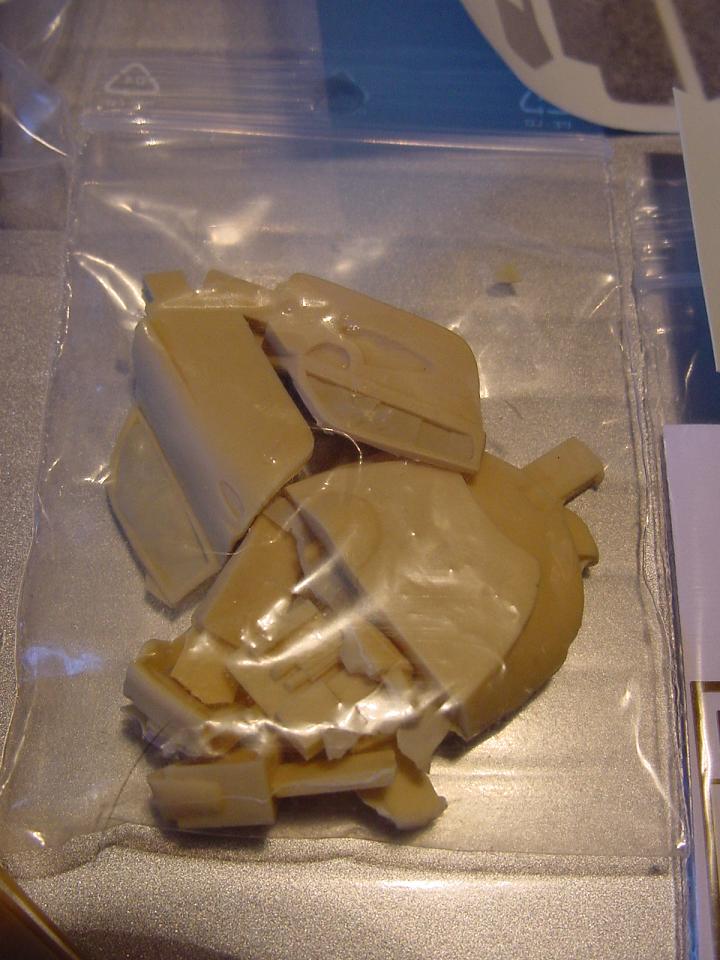 DSC05590.JPG