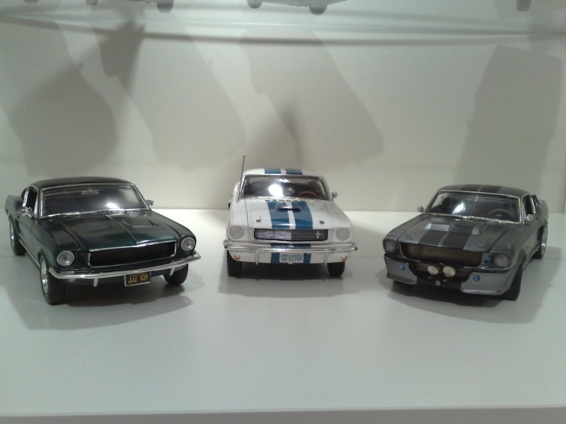 Mustangs