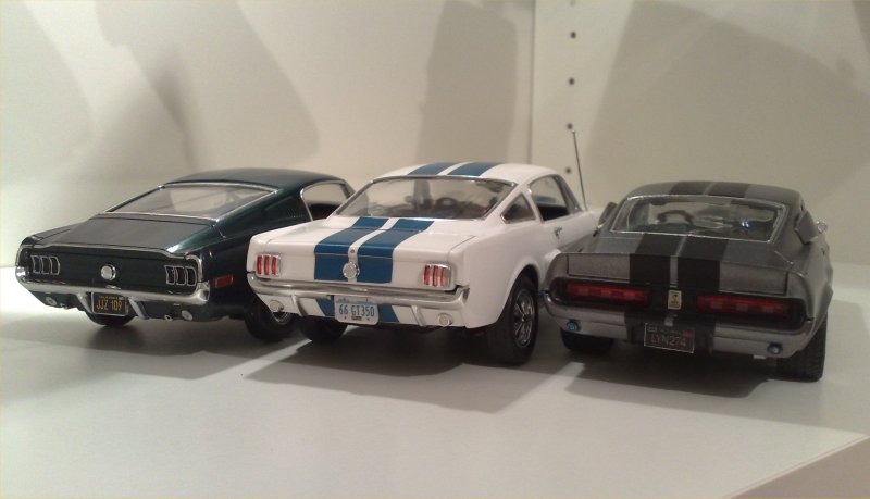 Mustangs