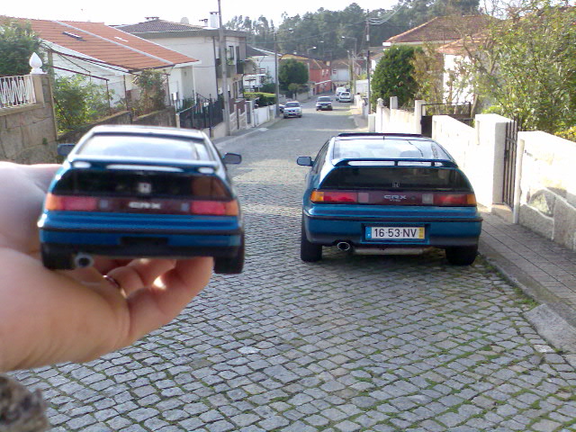 Img008.jpg