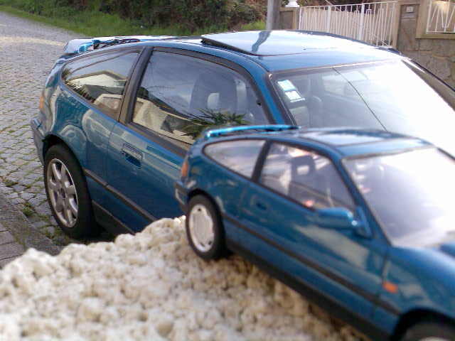 Img003.jpg