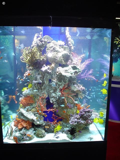 Pic_1257_10.jpg