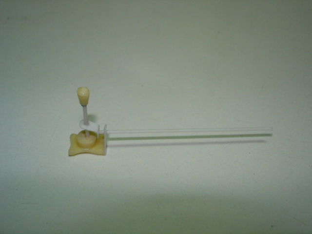 DSC04746.JPG