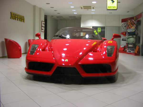 enzo1.jpg