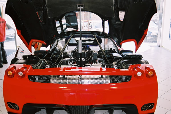 enzo27.jpg