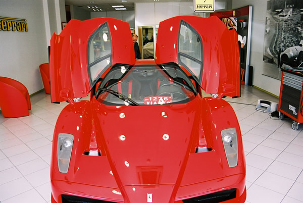 enzo16.jpg