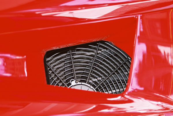 enzo11.jpg
