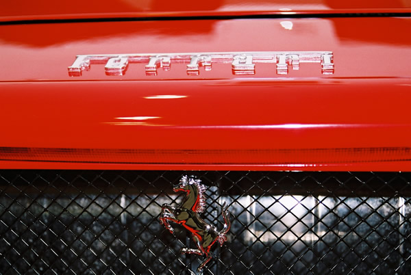 enzo6.jpg
