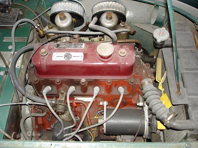 fotos 030.jpg