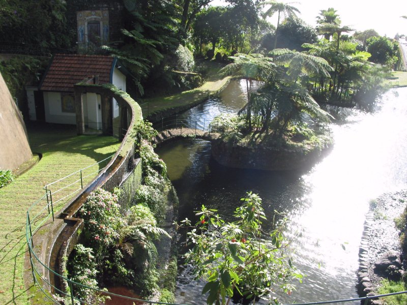 MADEIRA1.jpg