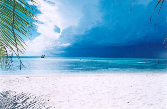 Saona - R. Dominicana