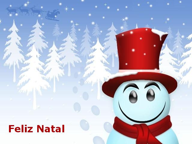 Boneco-de-Neve-Tim800.jpg