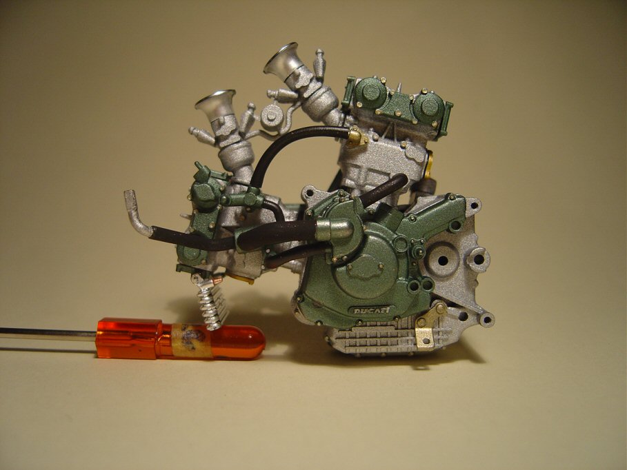 duc15.jpg