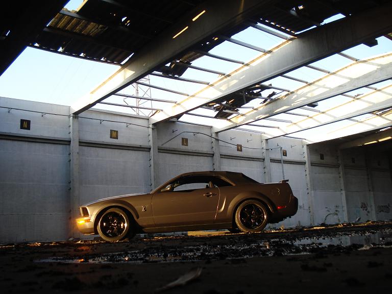 mustang cabrio 3.JPG