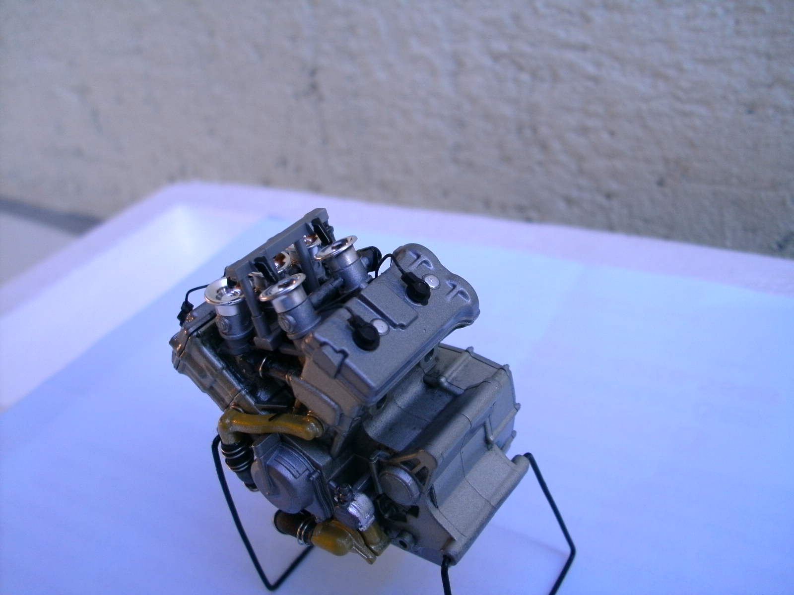 PICT1065.JPG