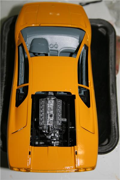 IMG_1439_400x600.jpg