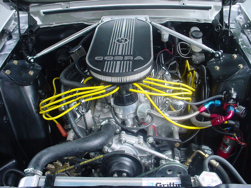 Eleanor_3.jpg