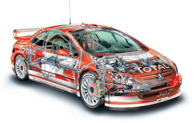 Ecorch307New_e_8c29533b5c4f44d039ee1c8cbeeb8807.jpg