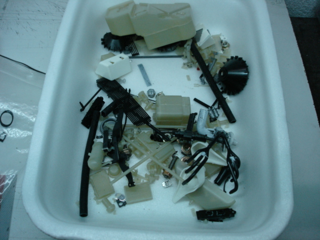 DSC08560.JPG