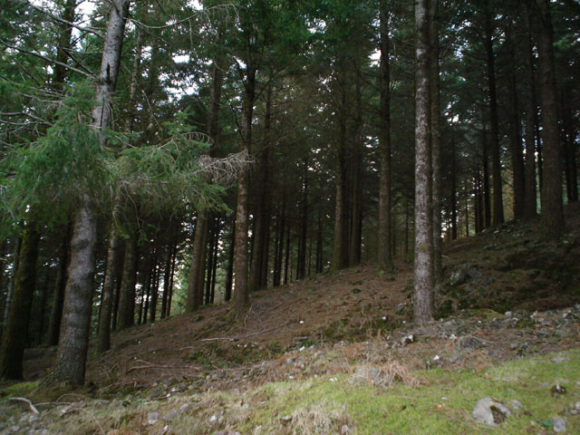 Ribeiro Frio 2.jpg