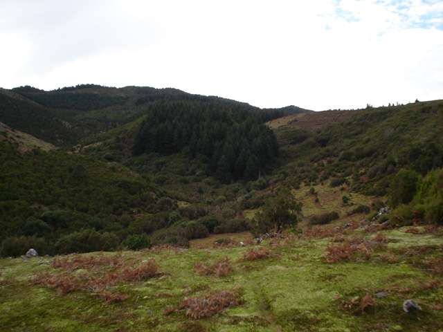 Ribeiro Frio.jpg