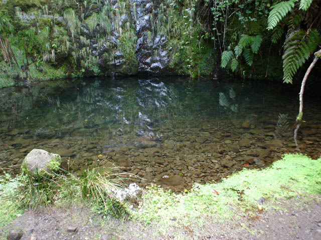 Lagoa Pequena.jpg