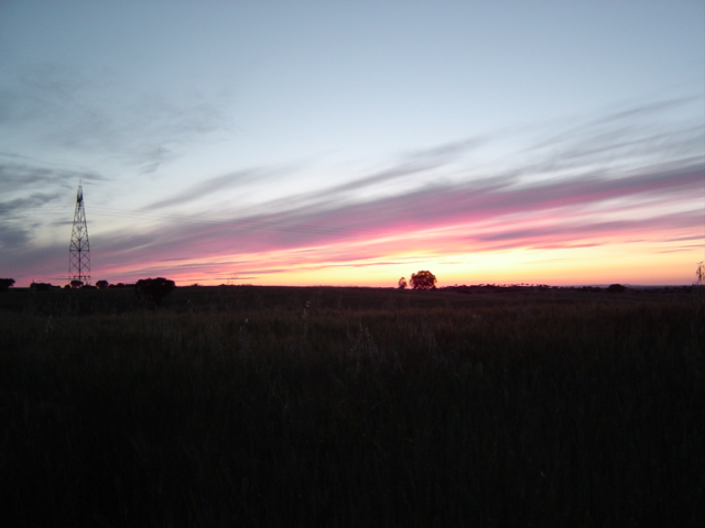 DSC01141.JPG