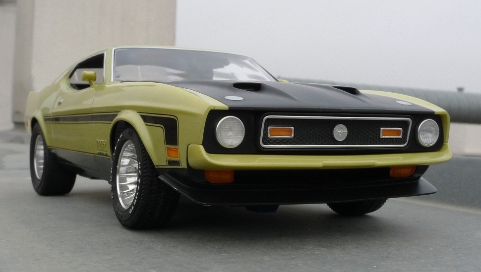 1971 Mustang  122.JPG