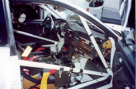 1CelicWarmb2.jpg