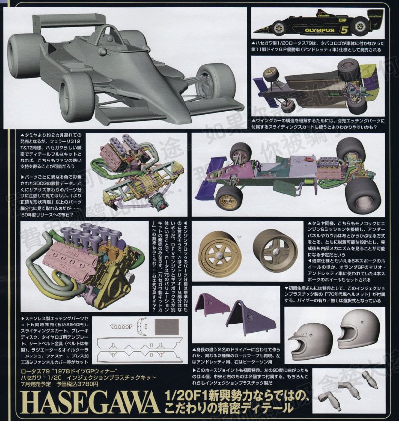 HASEGAWA LOTUS 79.jpg