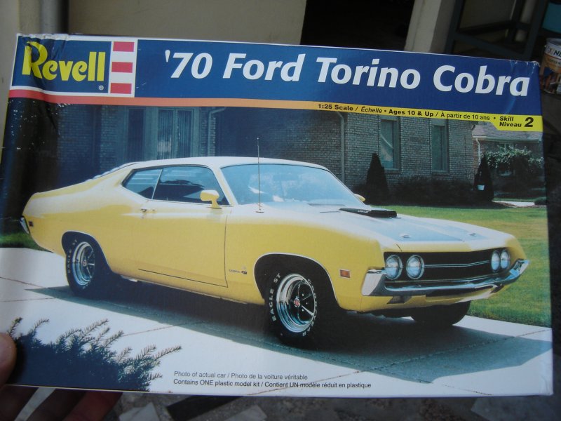 torino2.jpg