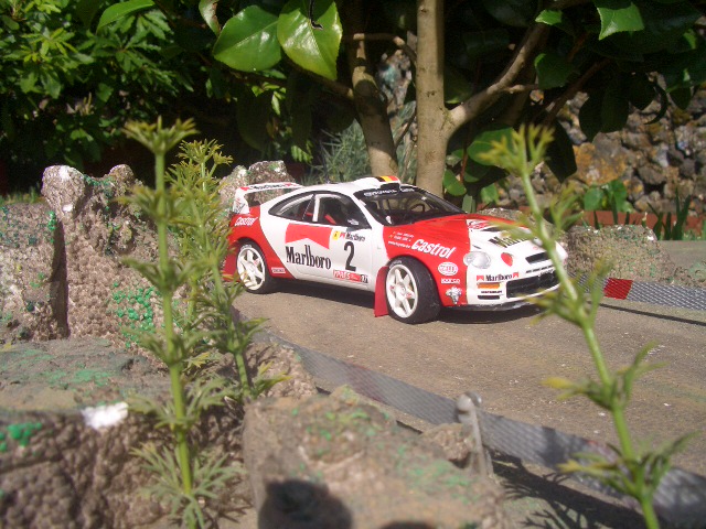 Imagem 029.jpg