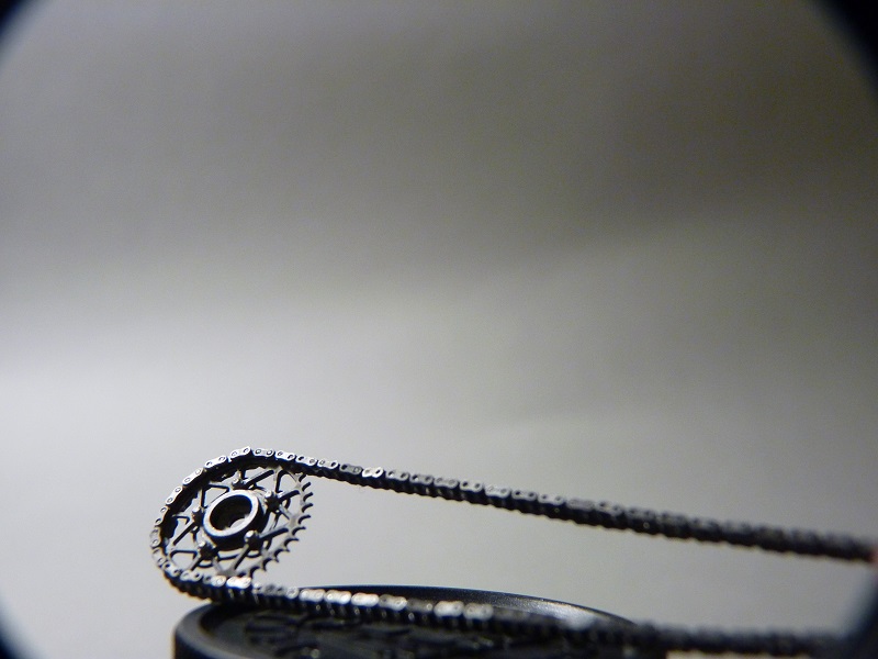 P1000356 - Cópia.JPG