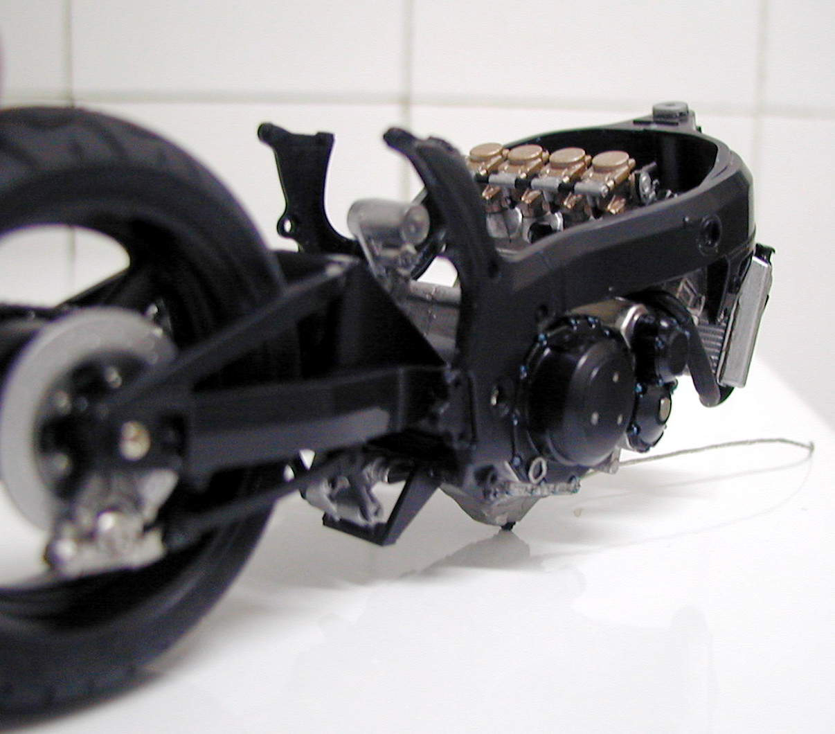 busa 3.JPG