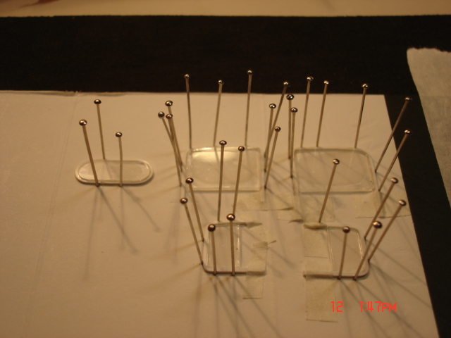 DSC00867.JPG