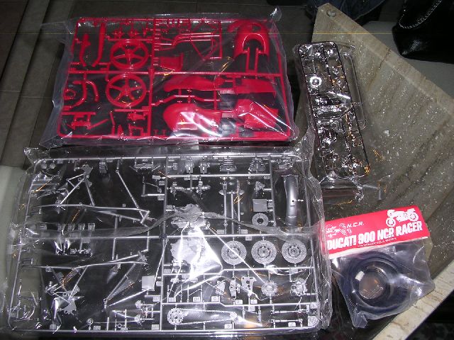 DSCN1500.JPG
