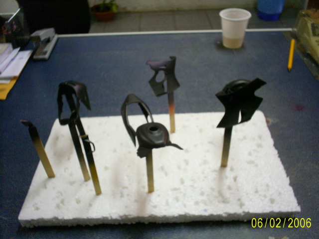 Pintada de preto