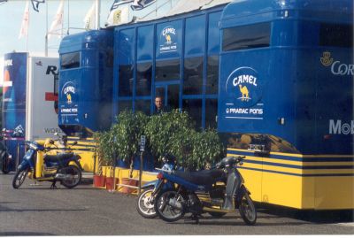camel1.jpg