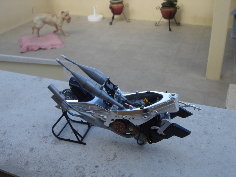 DSC00793.jpg